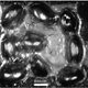 Illustration for article titled Fly eyes will power the next generation of solar cells